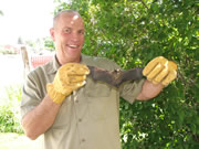 Allstate Animal Control trapper with bat