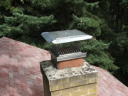 Allstate Animal Control chimney cap