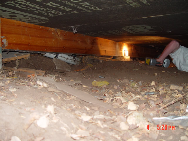 how to get rid of dead animal smell in crawl space