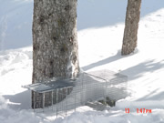 Allstate Animal Control photo porcupine cage trap