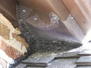 Allstate Animal Control, example of bat proofing